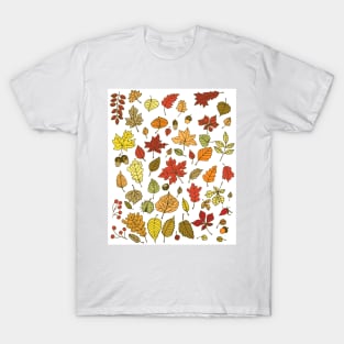 Autumn leaves, nuts and berries T-Shirt